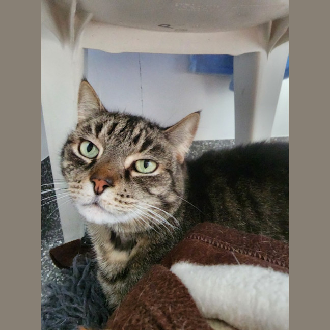 Photo of Princess And Skittles