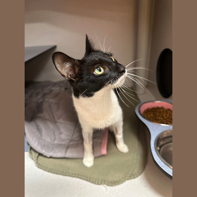 Photo of Dora
