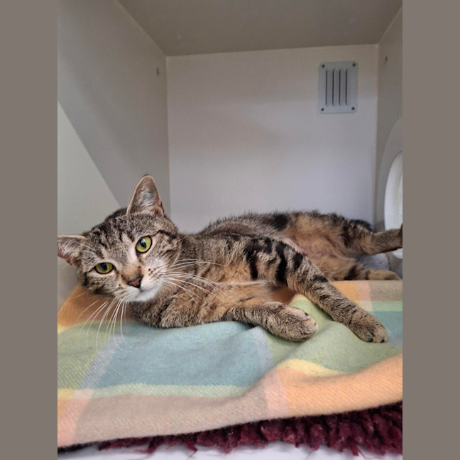 Photo of Miss Moneypenny