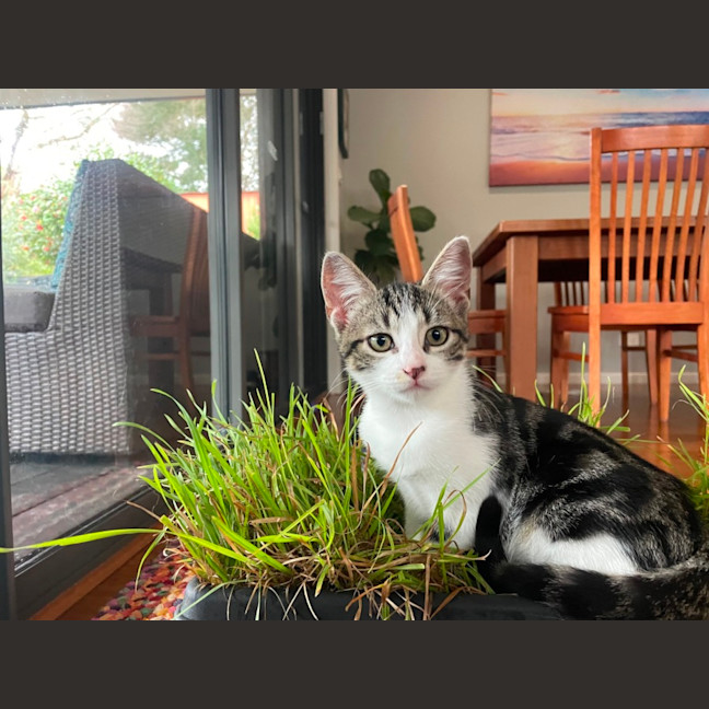 Photo of June