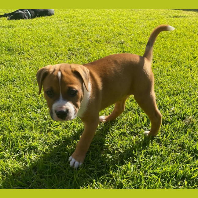 Photo of Howie
