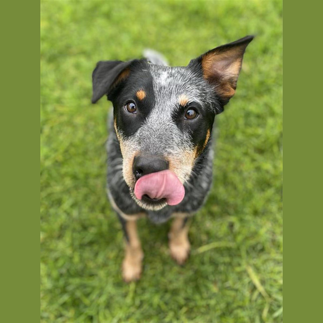 Photo of Jessie