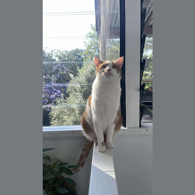 Photo of Echo