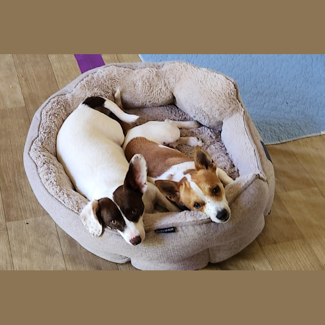 Photo of Dougie And Timmy