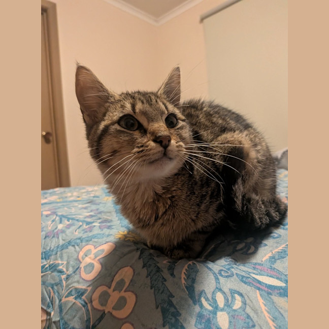 Photo of Butters