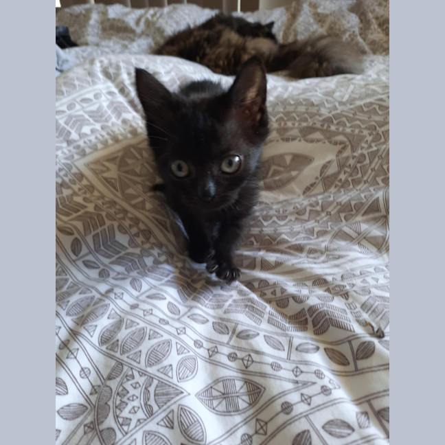 Photo of Rowena