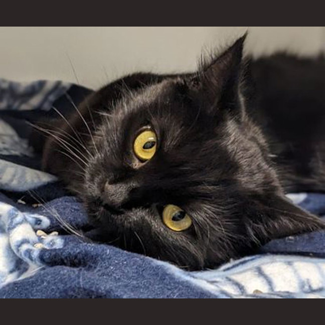 Photo of Elvira