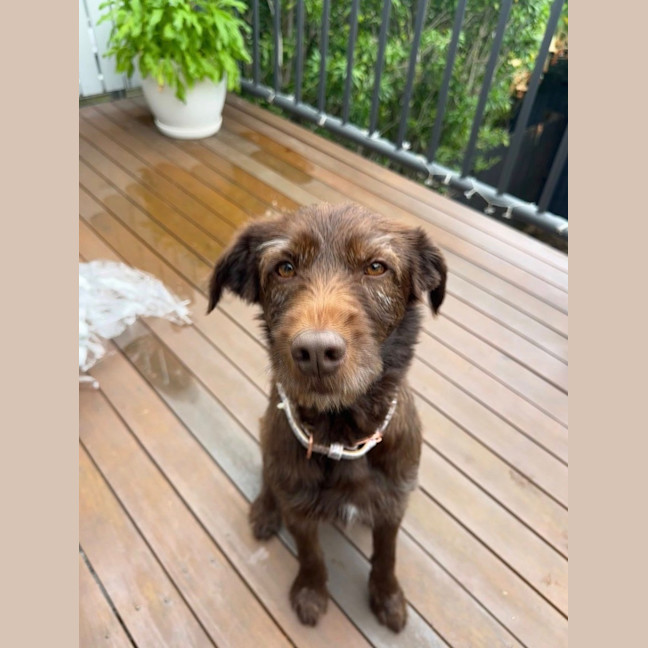 Photo of Bingo