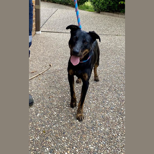 Photo of Dom (With Frankie)