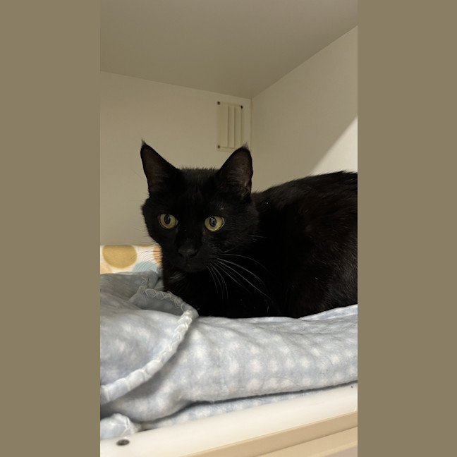 Photo of Bubby