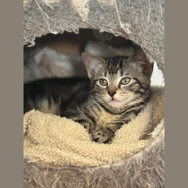 Photo of Huck