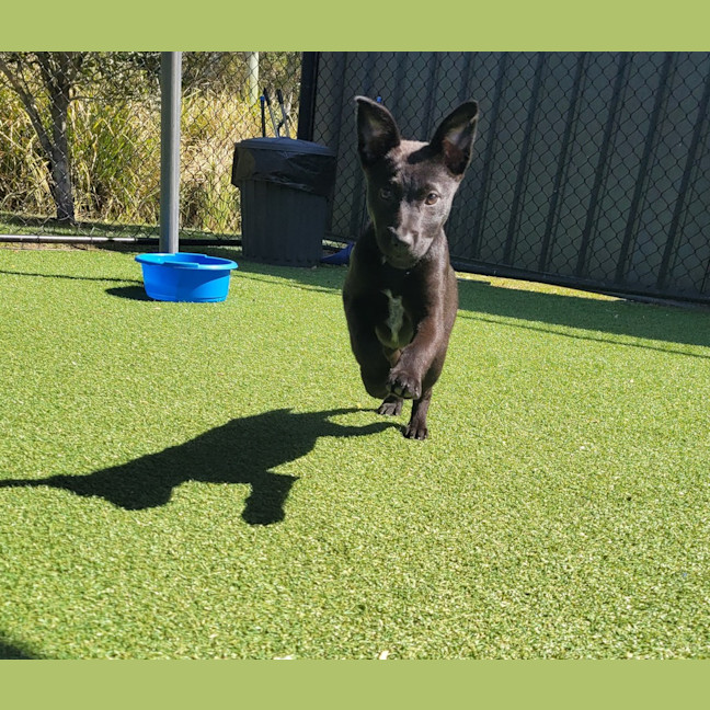 Photo of Tilly