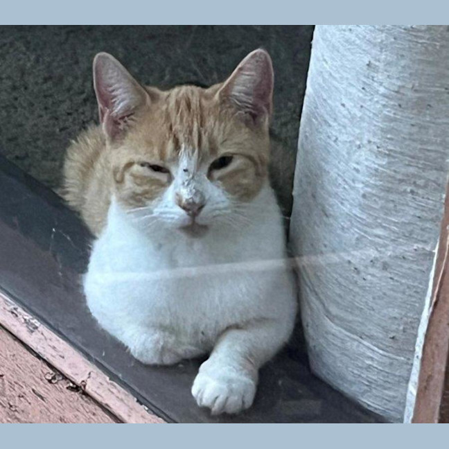 Photo of Olivia O'cleary