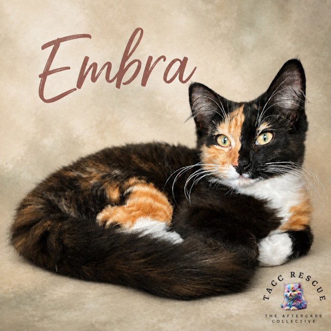 Photo of Embra