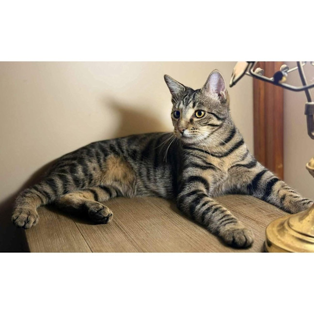 Photo of 11541   Ryan 