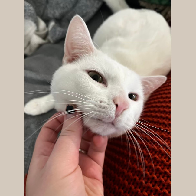 Photo of Wally
