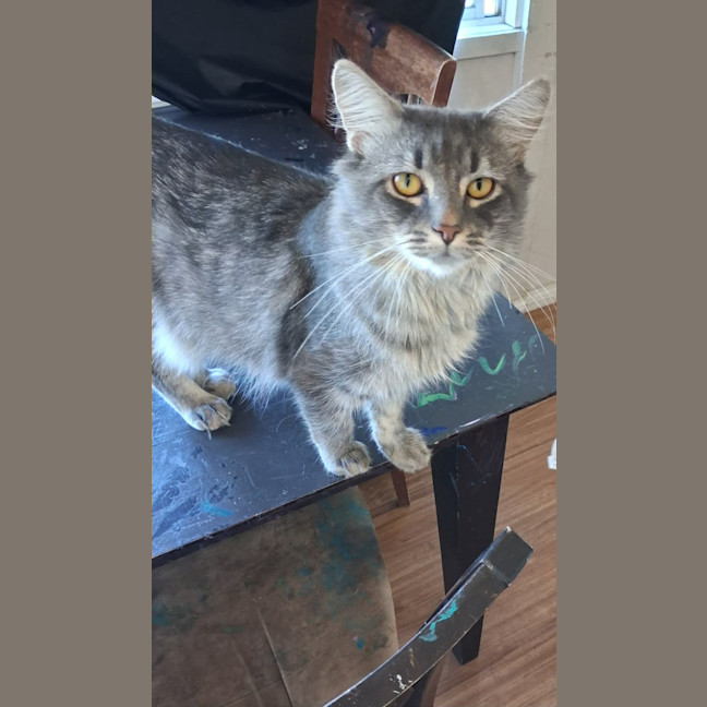 Photo of Oliver