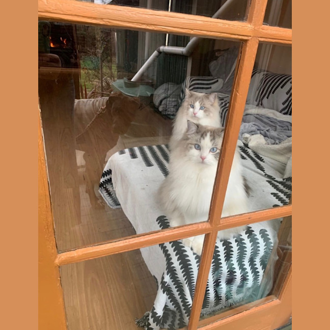 Photo of Sullivan And Theodore