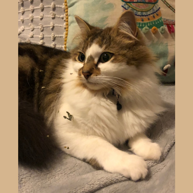 Photo of Hazel