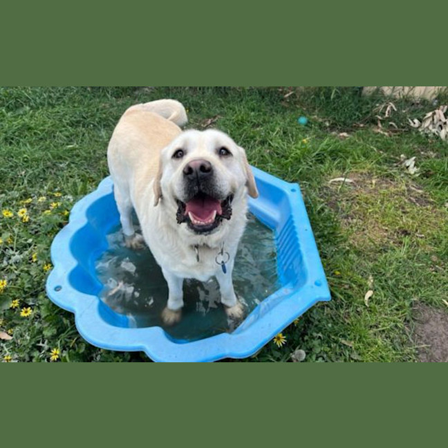 Photo of Charlie