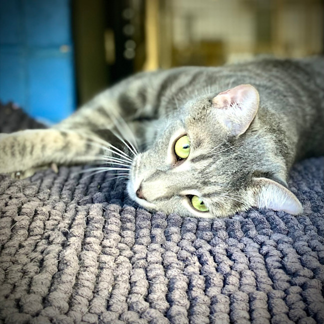 Photo of Timmy
