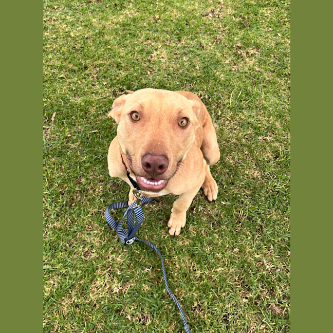 Photo of Ransom