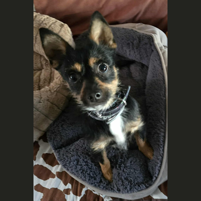 Photo of Ernie (8988)