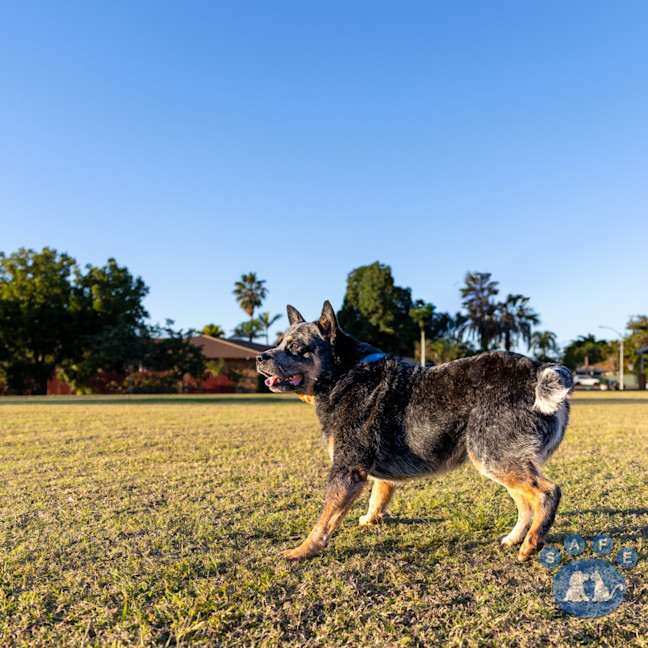 Photo of Tex