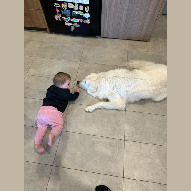 Photo of Luna *9 Lives Project Rescue*