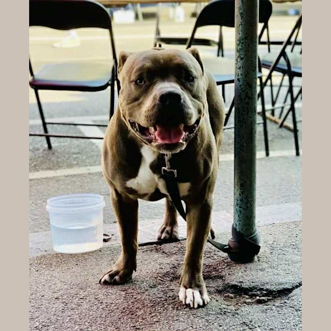 Photo of Mogwai