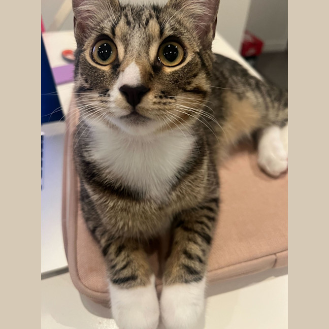 Photo of Conrad & Jeremiah