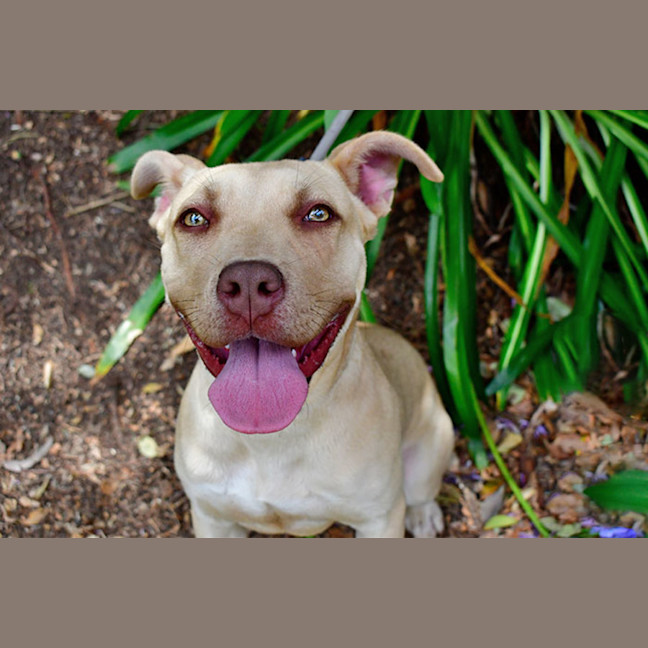 Photo of Octavia Octopus