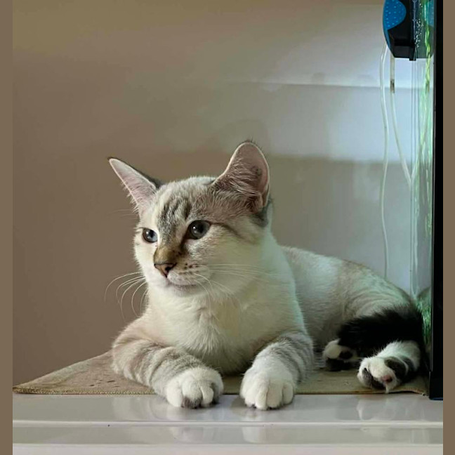 Photo of Jolie 