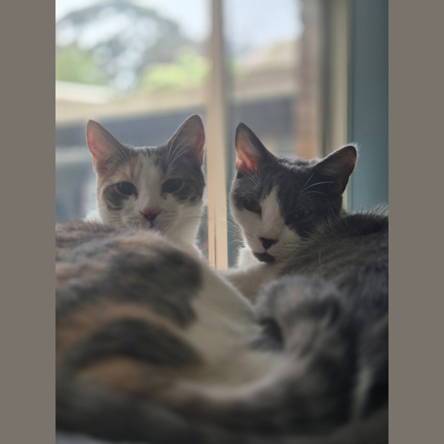 Photo of Cassidy / Cooper