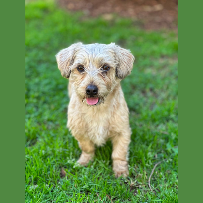 Photo of Benson