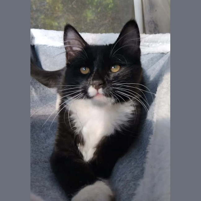 Photo of Thomas