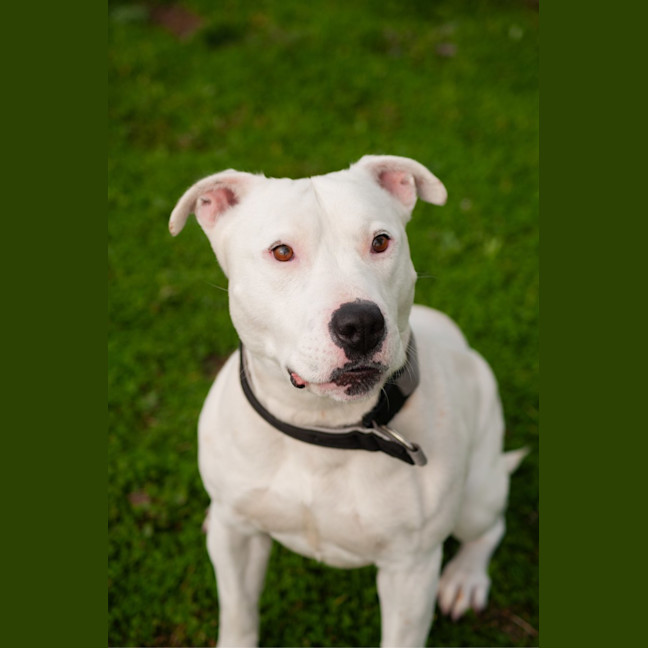 Photo of Max