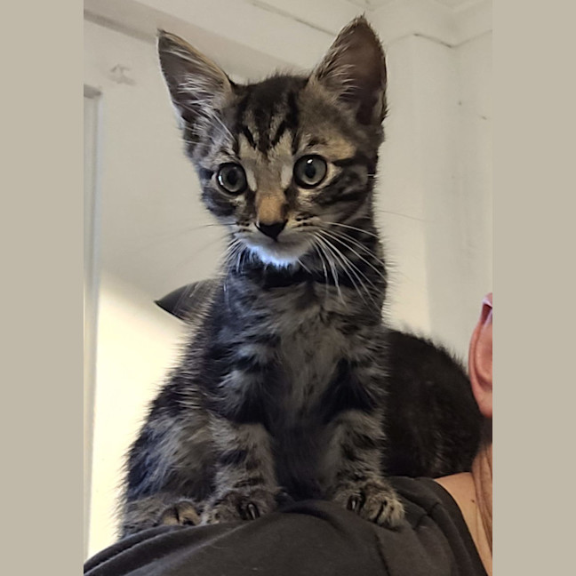 Photo of Monty