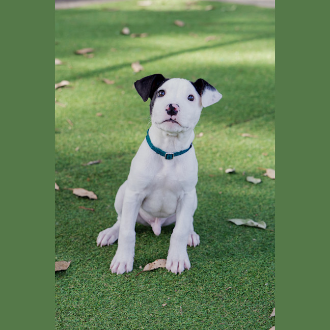 Photo of Abacus Crunch