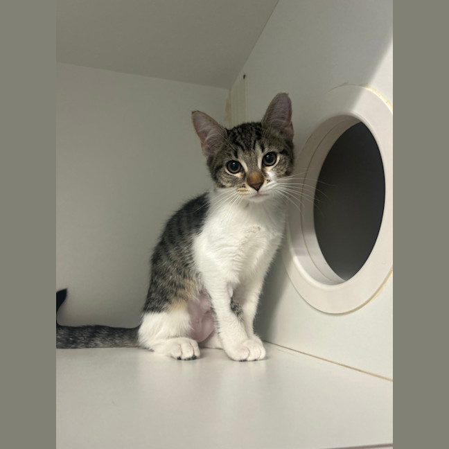 Photo of Clawdia