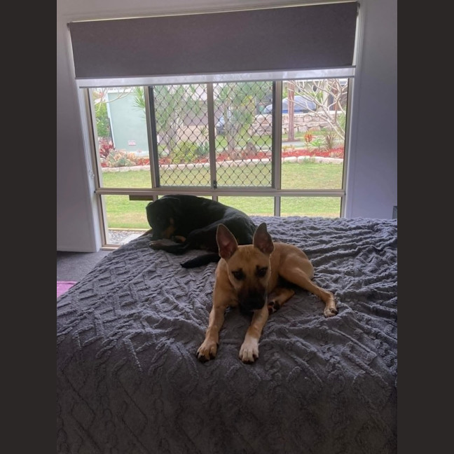 Photo of Phoebe