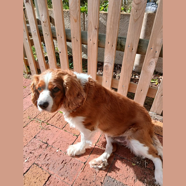 Photo of Matilda 