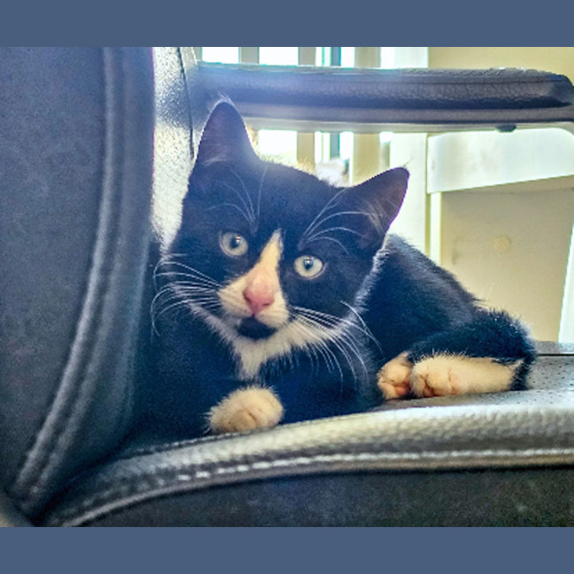 Photo of Spookie