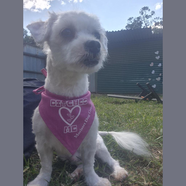 Photo of Murphy