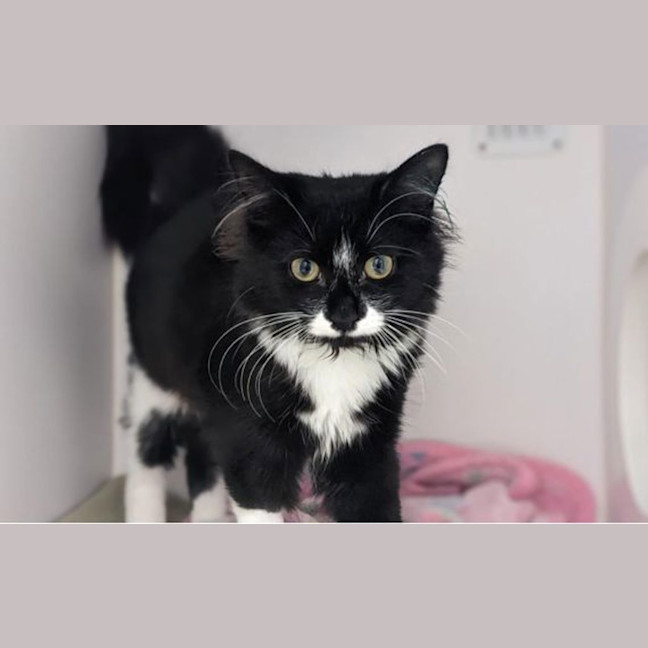 Photo of Maxine