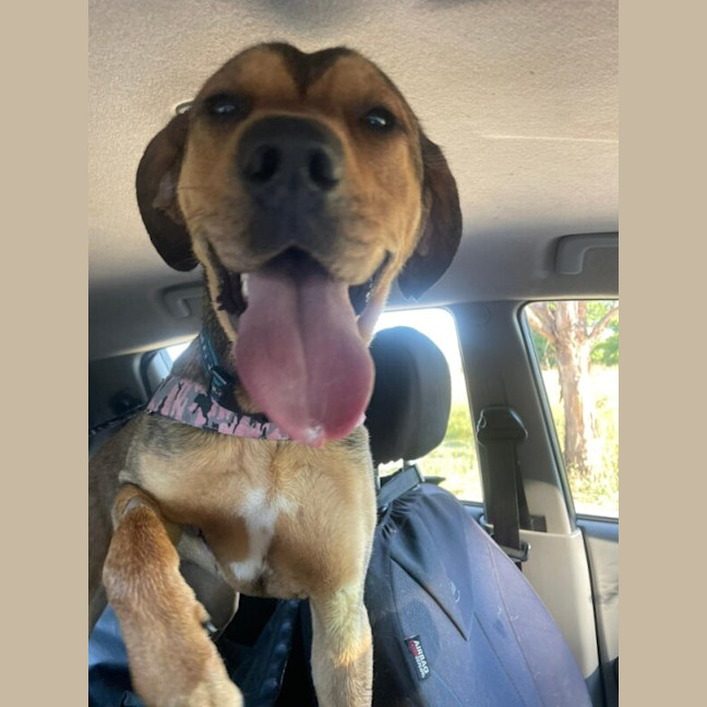 Photo of Lily