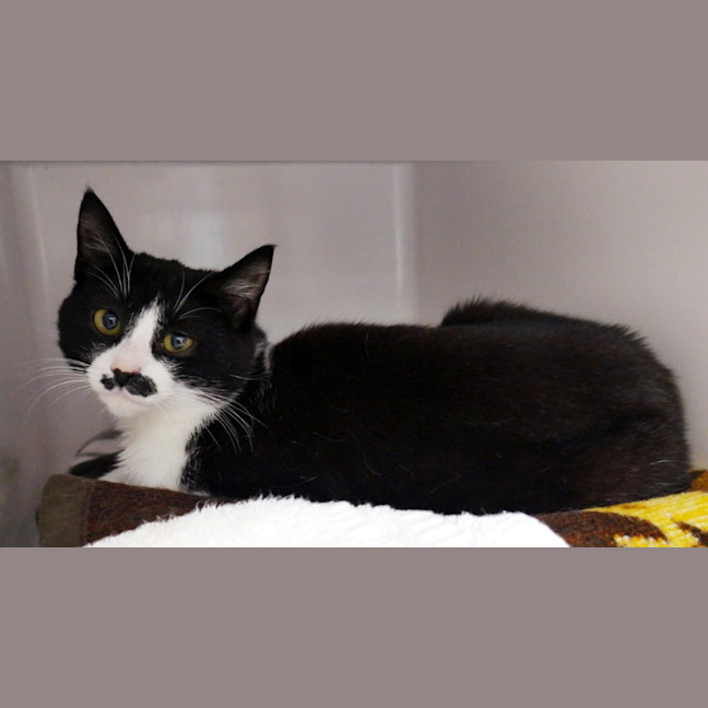 Photo of Blair Sta013121