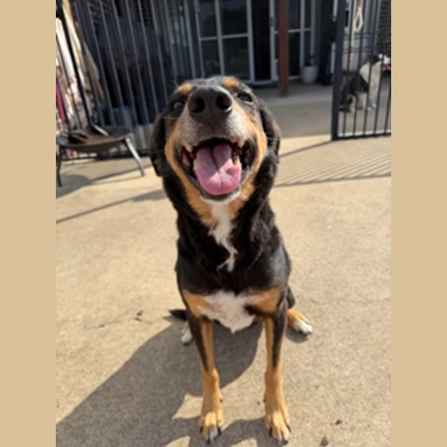 Photo of Molly 