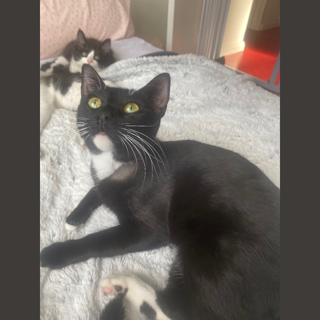 Photo of Luna Sanderson