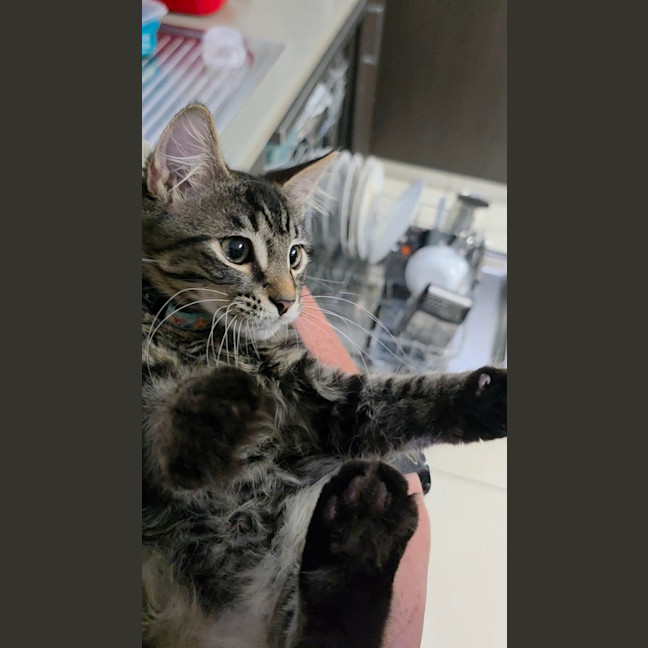 Photo of Timmy